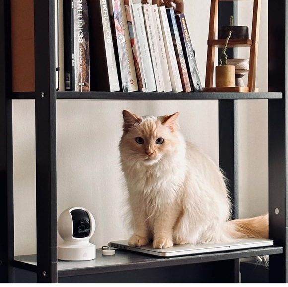 Kasa 2K QHD Security Camera Pan/Tilt, Starlight Sensor for Color Night V… - Picture 8 of 13